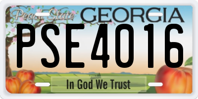 GA license plate PSE4016