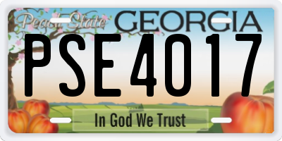 GA license plate PSE4017