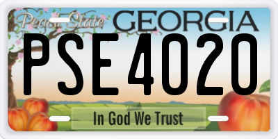 GA license plate PSE4020