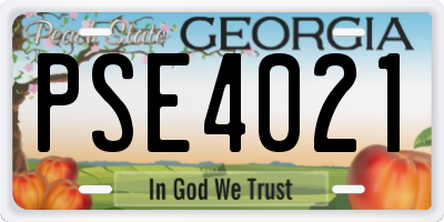 GA license plate PSE4021