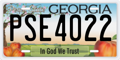 GA license plate PSE4022