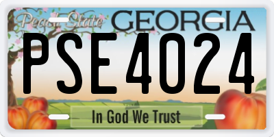 GA license plate PSE4024