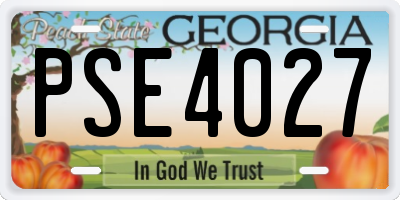 GA license plate PSE4027