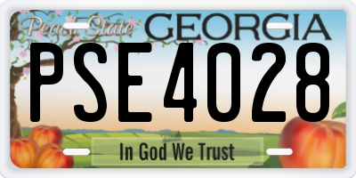 GA license plate PSE4028