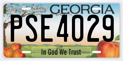 GA license plate PSE4029