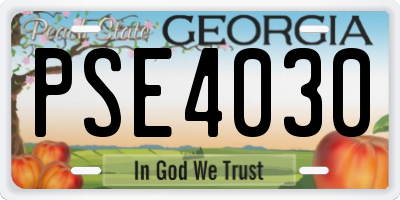 GA license plate PSE4030