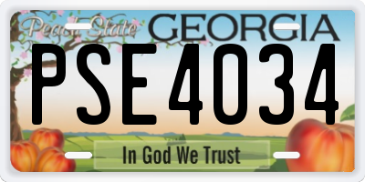 GA license plate PSE4034