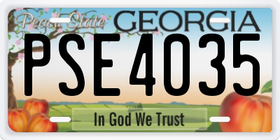 GA license plate PSE4035