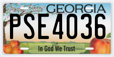 GA license plate PSE4036