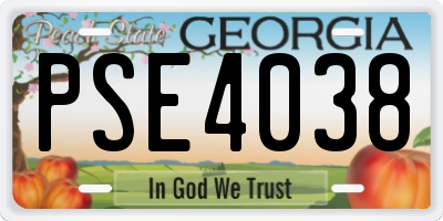 GA license plate PSE4038