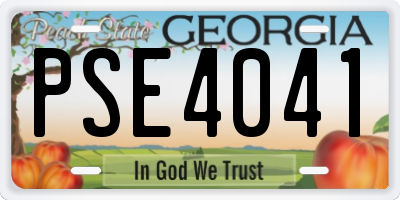 GA license plate PSE4041