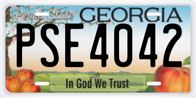 GA license plate PSE4042
