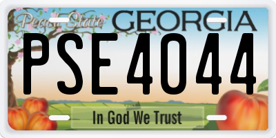 GA license plate PSE4044