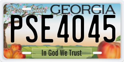 GA license plate PSE4045