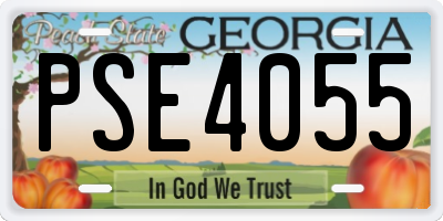 GA license plate PSE4055