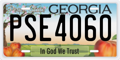 GA license plate PSE4060