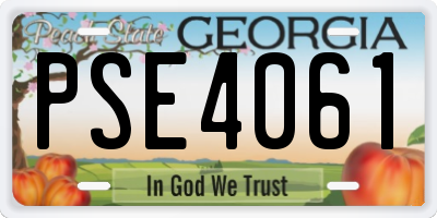 GA license plate PSE4061