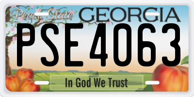 GA license plate PSE4063