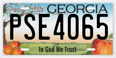 GA license plate PSE4065