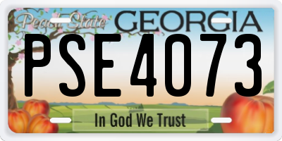 GA license plate PSE4073