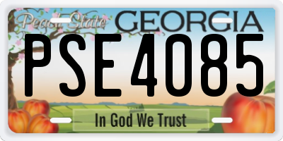 GA license plate PSE4085