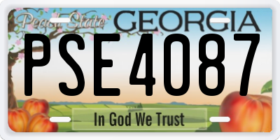 GA license plate PSE4087