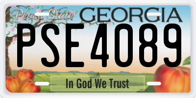 GA license plate PSE4089