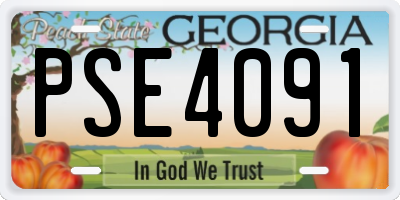 GA license plate PSE4091