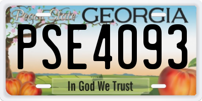 GA license plate PSE4093