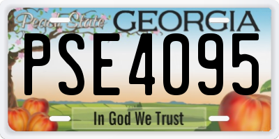 GA license plate PSE4095