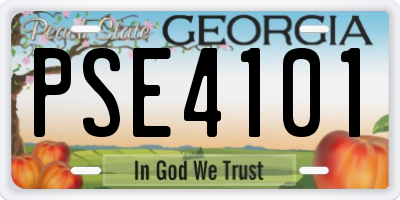 GA license plate PSE4101