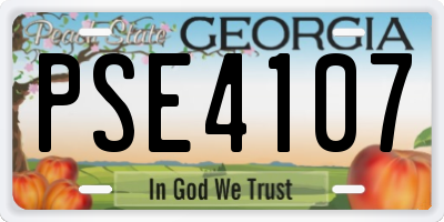 GA license plate PSE4107