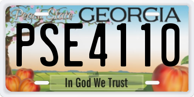 GA license plate PSE4110