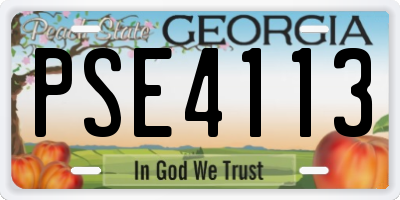 GA license plate PSE4113
