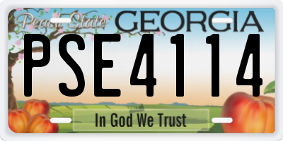 GA license plate PSE4114