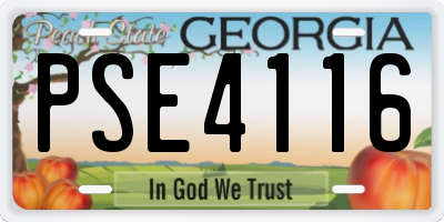 GA license plate PSE4116