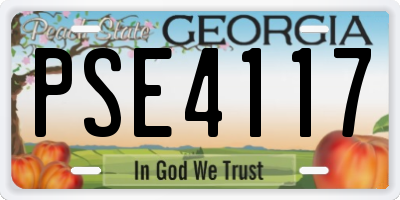 GA license plate PSE4117
