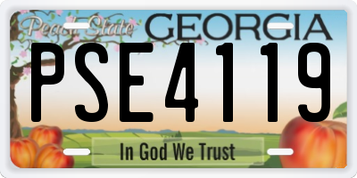 GA license plate PSE4119