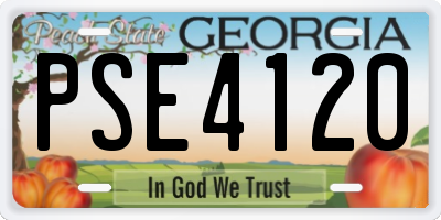 GA license plate PSE4120