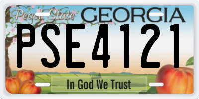 GA license plate PSE4121