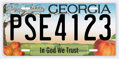 GA license plate PSE4123