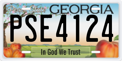 GA license plate PSE4124