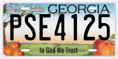 GA license plate PSE4125
