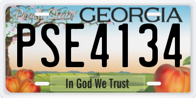 GA license plate PSE4134