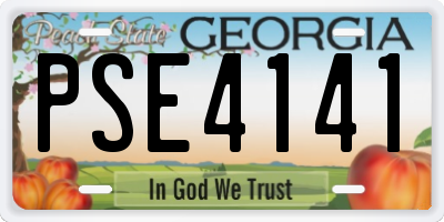 GA license plate PSE4141