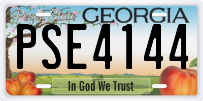 GA license plate PSE4144
