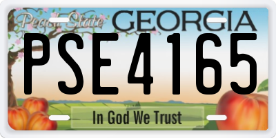GA license plate PSE4165