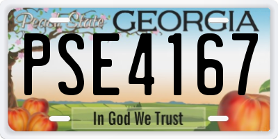 GA license plate PSE4167