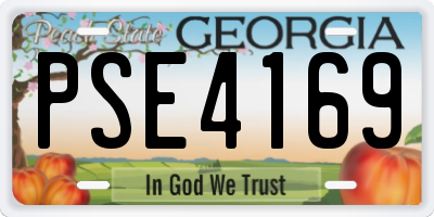 GA license plate PSE4169