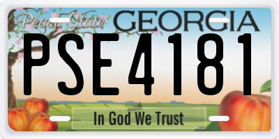 GA license plate PSE4181